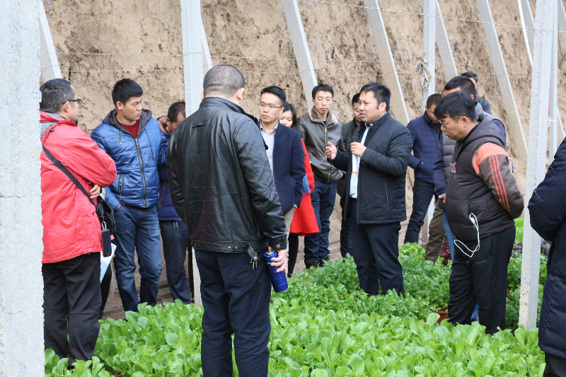 在盆栽蔬菜溫室，李軍老師給十二期學(xué)員講解盆栽蔬菜技術(shù)