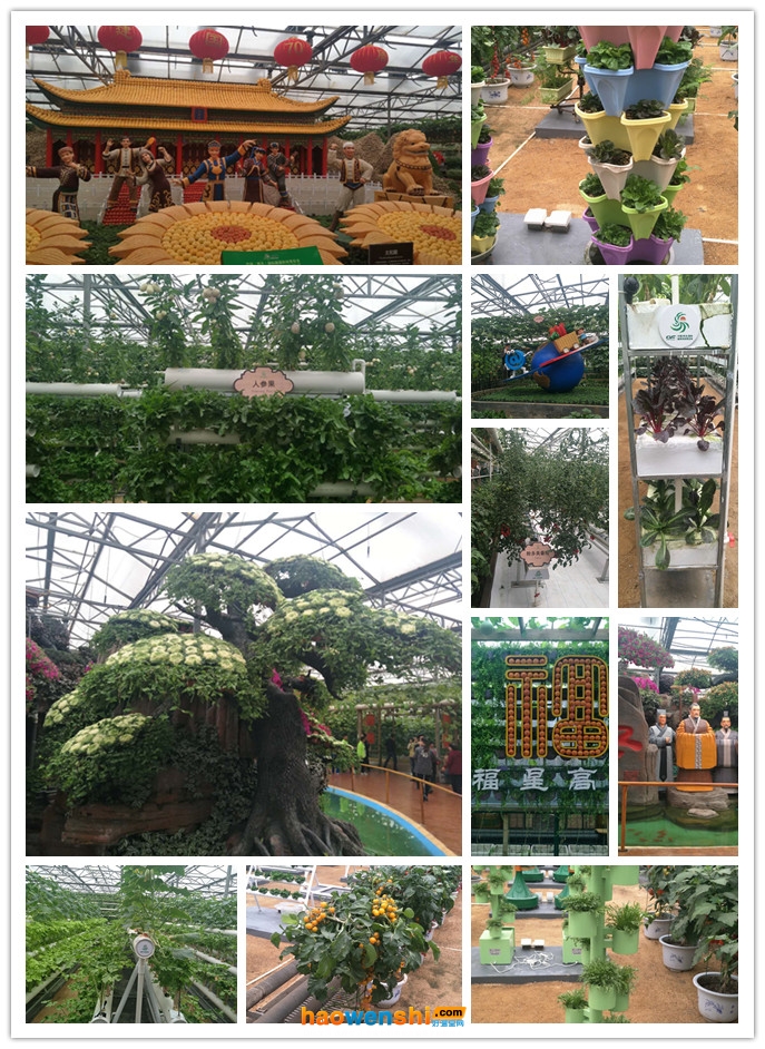 菜博會景觀.jpg