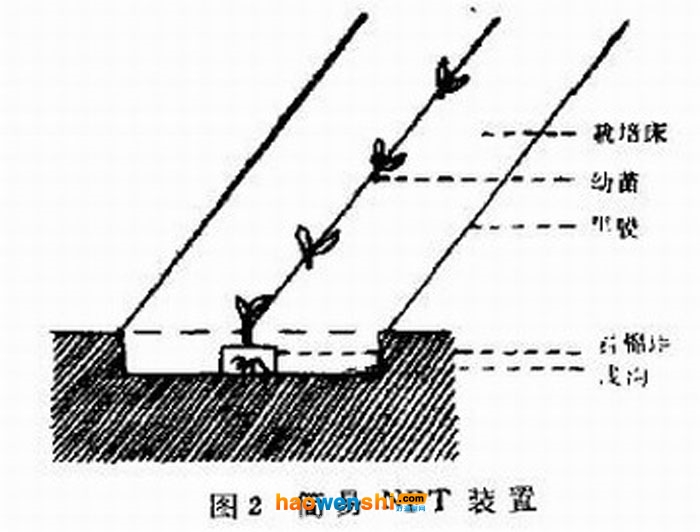 營(yíng)養(yǎng).jpg