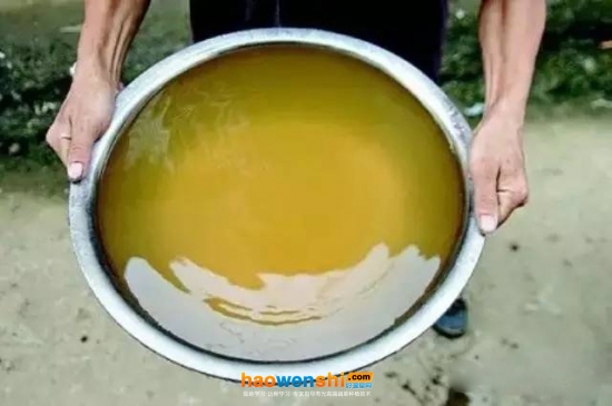 營養(yǎng)液.jpg