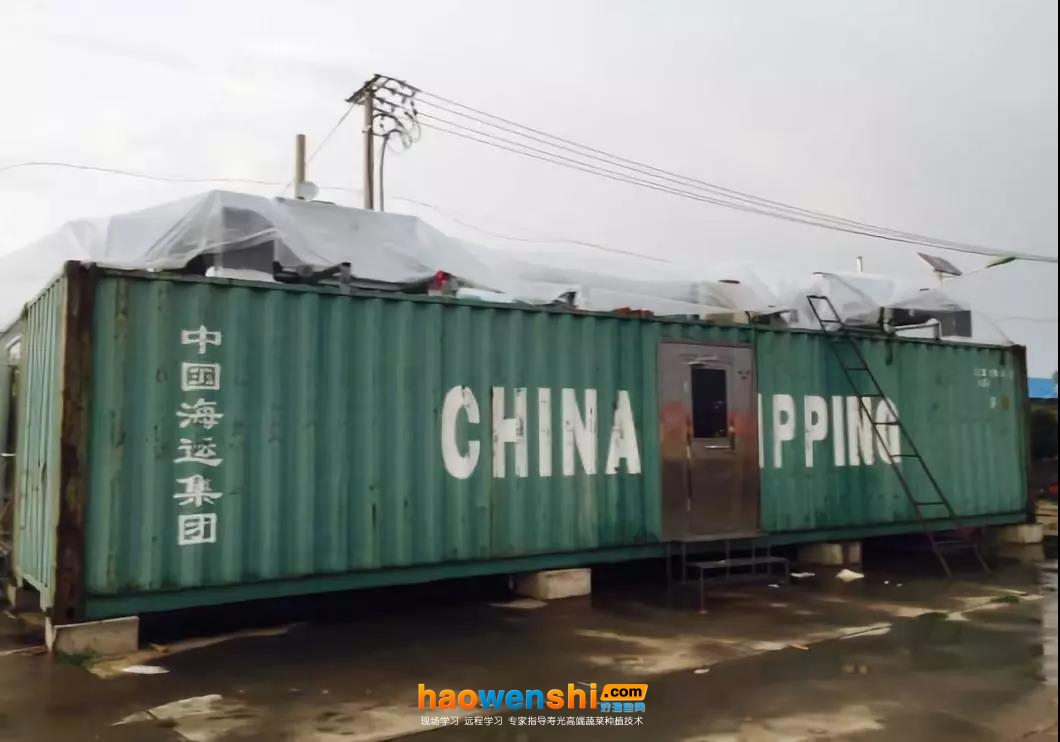 集裝箱植物工廠(chǎng)外部.jpg