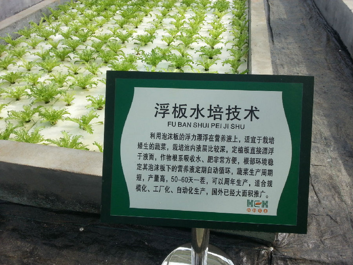 無(wú)土栽培浮板水培技術(shù).jpg