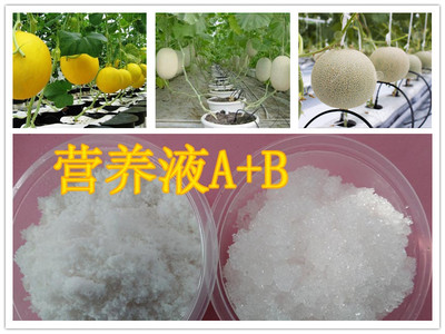無土栽培營養(yǎng)液.jpg