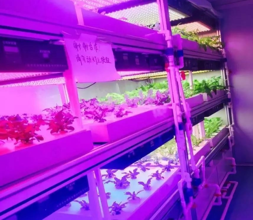 植物工廠.jpg