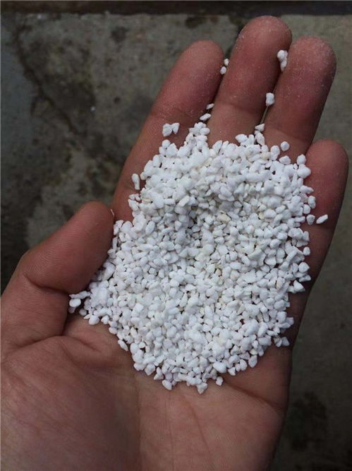 無(wú)土栽培基質(zhì)珍珠巖.jpg