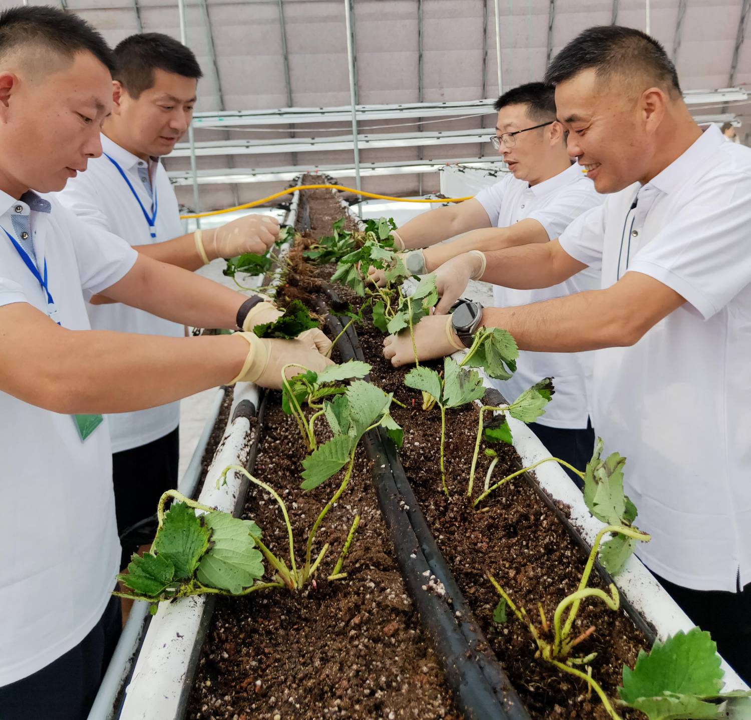 WPS圖片-修改尺寸.jpg