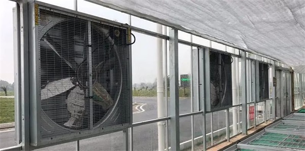 風(fēng)機