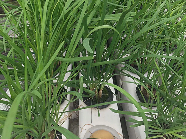 b6b026decb4fbbffeb2083eb7bfee159 (1) (1).png
